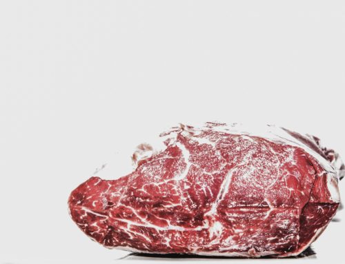 L’hebdo n°6 – Comment interpréter le taux de viande fraîche inscrit sur les sacs de croquettes